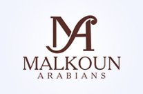 logo design portfolio 73